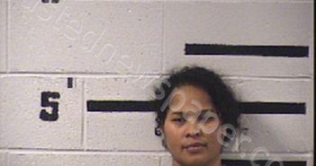 <B>SUMMEY</B>, <B>KILARIA</B> <B>HOMEAREK</B> #, Transylvania County, North Carolina - 2022-03-01 17:00:00