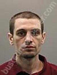 GIBSON, CHARLES ANTHONY #, Limestone County, Alabama - 2022-03-02