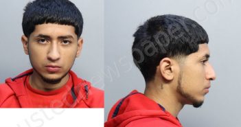 MEJIA, FELIX OMAR | 2022-03-02 03:31:00 Miami-Dade County, Florida Booking