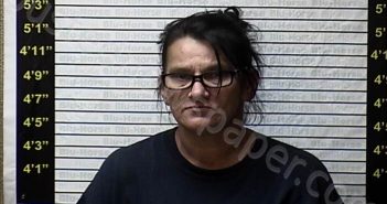 <B>TYNES</B>, <B>LISA</B> <B>MARIE</B> #, Graves County, Kentucky - 2022-03-02