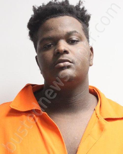 AUSTIN, MEGAIL LEE #, Rapides Parish, Louisiana - 2022-03-03 19:43:00