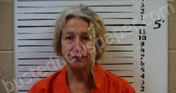 DAVIS, HELEN NORA | 2022-03-04 00:52:00 Cherokee County, North Carolina Booking