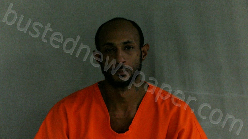 JOHNSON, SHYQUON BRANDT #, Lincoln County, West Virginia - 2022-03-04 14:15:00