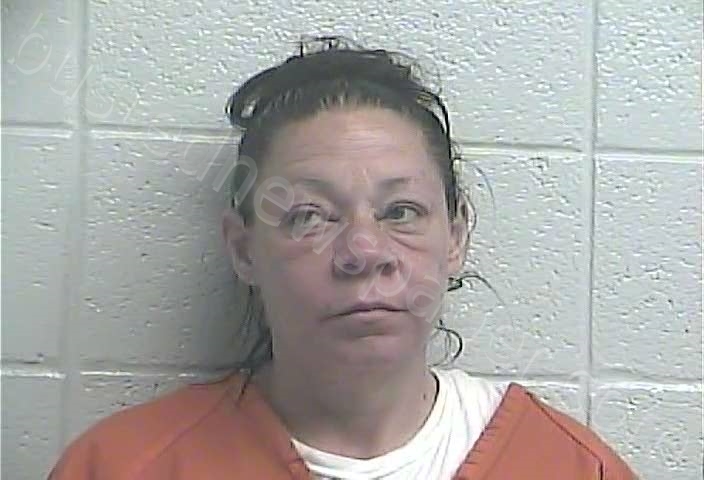 VINCENT, DENA JO #, Jessamine County, Kentucky - 2022-03-05 02:31:00