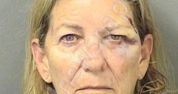 FERRY, DIANE ELLA | 2022-03-05 06:54:00 Palm Beach County, Florida Booking