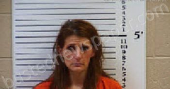 BRYSON, SAVANNAH MARIE | 2022-03-07 03:10:00 Cherokee County, North Carolina Booking
