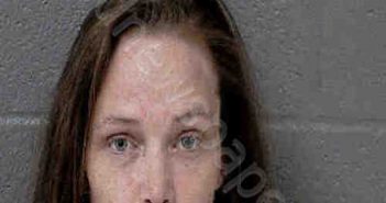 <B>HEIDTMAN</B>, <B>CHELSEA</B> #, Mecklenburg County, North Carolina - 2022-03-07 12:40:00
