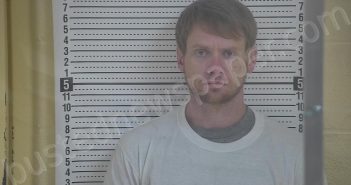 LEWIS, JOSHUA A | 2022-03-08 23:30:00 Taylor County, Kentucky Booking