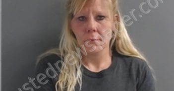 BRANDY IREY | 2022-03-10 01:50:00 Marion County, Arkansas Booking