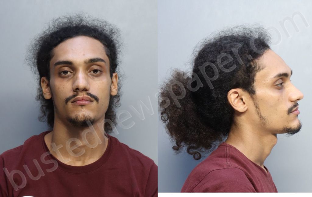 RAMIREZ, MARTIN ANTHONY #, Miami-Dade County, Florida - 2022-03-10 04:34:00