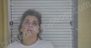 FERGUSON, AMANDA Z | 2022-03-10 22:41:00 Taylor County, Kentucky Booking