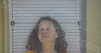 SEITZ, TELINA F. | 2022-03-11 23:52:00 Taylor County, Kentucky Booking