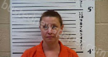 JOHNSON, TARA ASHLEY | 2022-03-11 18:36:00 Cherokee County, North Carolina Booking
