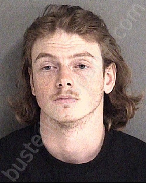 DUTTON, BROCK MICHAEL #, Story County, Iowa - 2022-03-11