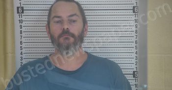 WILSON, DENNIS E. | 2022-03-12 02:03:00 Taylor County, Kentucky Booking