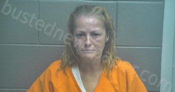 <B>ELLIS</B>, <B>YOLANDA</B> LEE #, Scott County, Kentucky - 2022-03-12 22:31:00