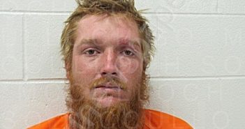 STEAR, MATTHEW DALTON | 2022-03-13 01:33:00 Mcculloch County, Texas, McCulloch County, Texas Booking