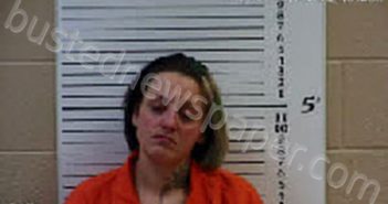 <B>JOHNSON</B>, <B>AMBER</B> <B>NICOLE</B> #, Cherokee County, North Carolina - 2022-03-14 17:34:00
