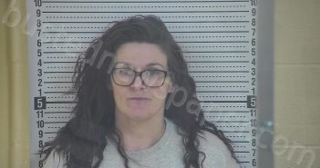 HAYWOOD, NICOLE | 2022-03-14 15:02:00 Taylor County, Kentucky Booking