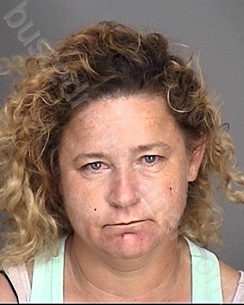 HERNANDEZ, KATHI GAIL #, Highlands County, Florida - 2022-03-15 23:11:57