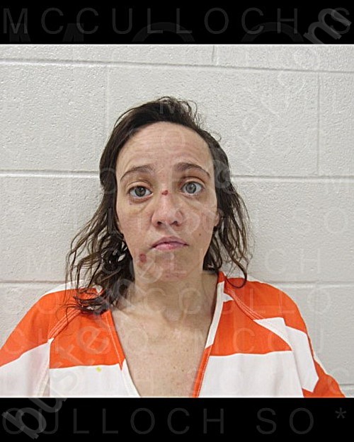 PREECE, KIMBERLY LOUISE #, Mcculloch County, Texas, McCulloch County, Texas - 2022-03-15 10:31:00