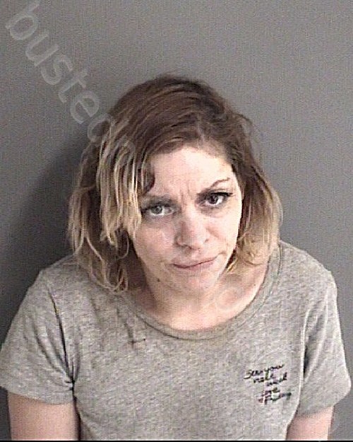 WILLIAMS, REBEKAH BETH #, Story County, Iowa - 2022-03-16