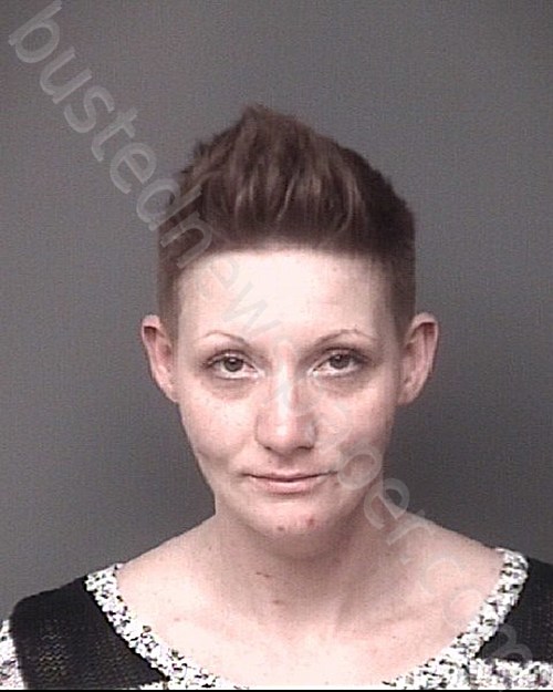 PLINE, REBECCA LEE #, Dubuque County, Iowa - 2022-03-18 11:01:00