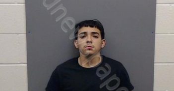 <B>GUTIERREZ</B>, <B>LUIS</B> <B>STEVEN</B> #, Smith County, Texas - 2022-03-18