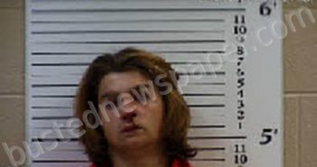 DANIELSON, DALTON SMITH | 2022-03-19 05:37:00 Cherokee County, North Carolina Booking