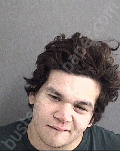 MENDEZ, JAMIE LEE #, Story County, Iowa - 2022-03-19
