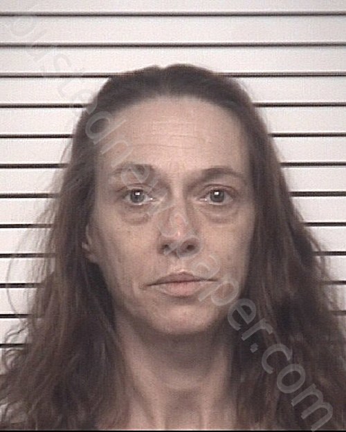 GREGORY, NANCY LEANNE #, Iredell County, North Carolina - 2022-03-21 09:42:00