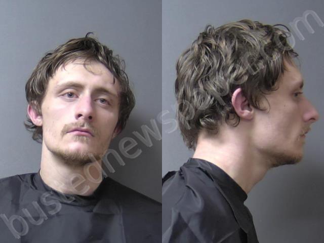HENDRIX, TRAVIS MICHAEL #, Madison County, Indiana - 2022-03-21 00:49:00
