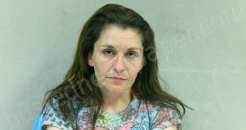 FERRELL, CARLEEN NADINE | 2022-03-22 16:50:00 Boone County, West Virginia Booking