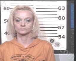 CARLA STOUT #, Henry County, Tennessee - 2022-03-22 13:43:00