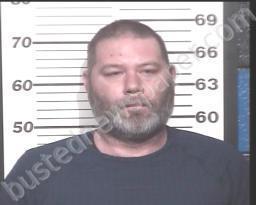 JEREMIAH LONG #, Henry County, Tennessee - 2022-03-22 20:28:00