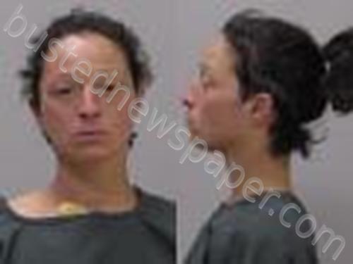 BRADLEY, JAYANA LEE #, Kalamazoo County, Michigan - 2022-03-22 21:49:00