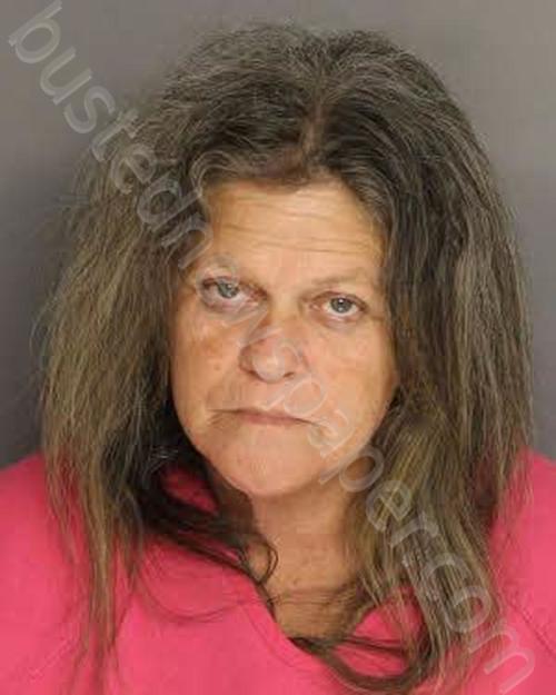 BOWICK, MELANIE LOUISE #, Berkeley County, South Carolina - 2022-03-23 17:57:00