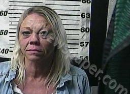 LISA SHULTS | 2022-03-23 08:55:00 Cocke County, Tennessee Booking