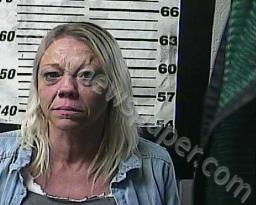 LISA SHULTS #, Cocke County, Tennessee - 2022-03-23 08:55:00