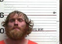 CORY LAWRENCE | 2022-03-24 18:16:00 White County, Tennessee Booking