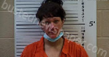 WHITENER, COURTNEY MARLANA | 2022-03-24 00:45:00 Cherokee County, North Carolina Booking