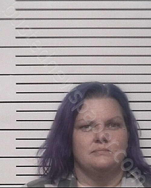 RUMBOUGH, JILL MARIE #, Iredell County, North Carolina - 2022-03-25 16:03:00