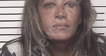 ROERIG, MICHELLE ANN | 2022-03-28 16:47:00 Iredell County, North Carolina Booking