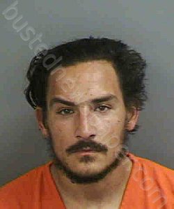 PETERSON,CHRISTOPHER CARLOS | 2022-03-30 Collier County, Florida Booking