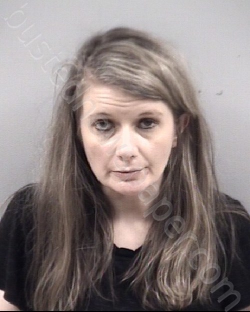 RACHEL LYNN GIBBONS #, Johnston County, North Carolina - 2022-03-30