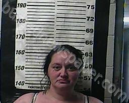 JULIE ROOT #, Cocke County, Tennessee - 2022-04-01 15:36:00