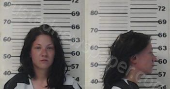 <B>FLEMING</B>, <B>ASHLEY</B> <B>LYNN</B> #, Henderson County, Texas - 2022-04-02