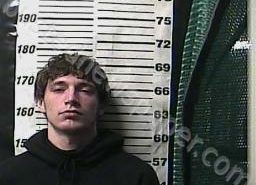 DEEKOTA PRICE | 2022-04-03 22:50:00 Cocke County, Tennessee Booking