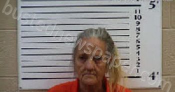 GENTLE, ROBERTA SUE | 2022-04-03 05:10:00 Cherokee County, North Carolina Booking