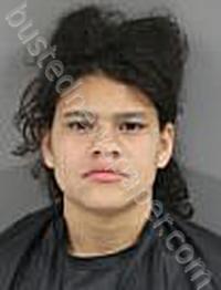 GANTT, KEISHA NICOLE #, Anderson County, South Carolina - 2022-04-03